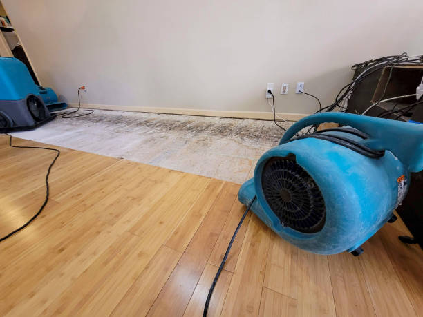 Reliable Basement Flood Cleanup contractor in Owosso, MI by Hirex Water Damage