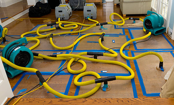 Professional Basement Flood Cleanup technician working in Owosso, MI