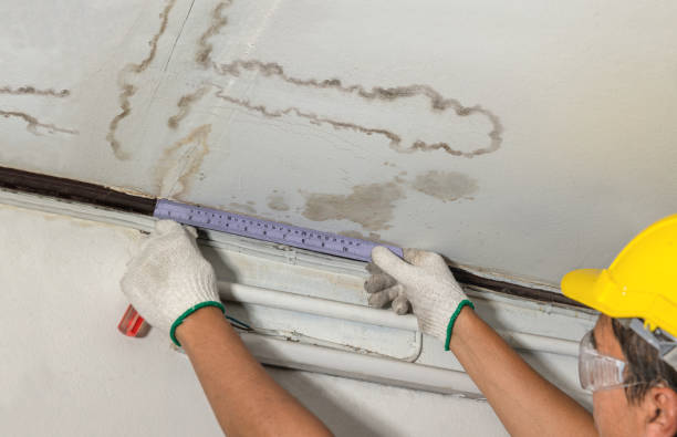 Affordable Water Damage Repair solutions in Owosso, MI